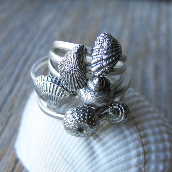 Silver Seashell Ring Etsy