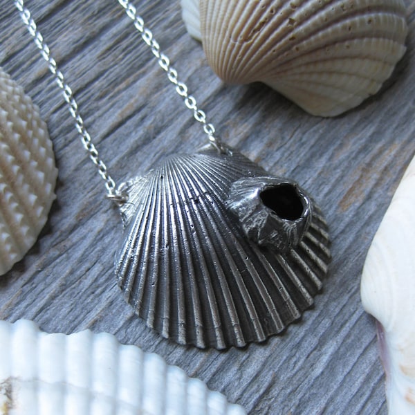 SCALLOP shell and barnacle oxidized sterling silver necklace