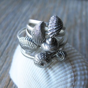 May include: A set of silver rings featuring different seashell designs. The rings are stacked on top of each other and are displayed on a white seashell.