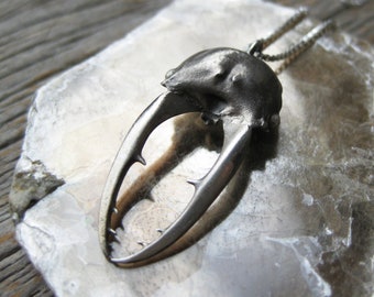 STAG BEETLE necklace real insect jewelry oxidized sterling silver bug necklace