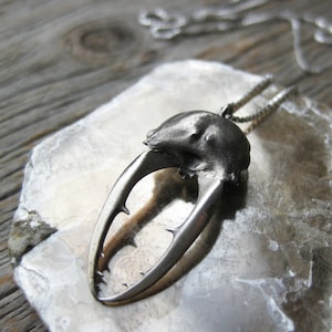 Real outlet insect jewelry