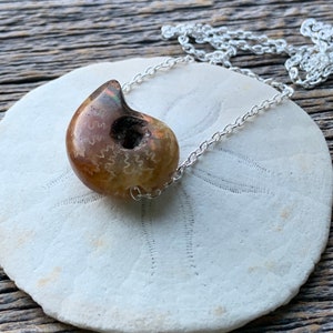 shell AMMONITE fossil pair sterling silver necklace
