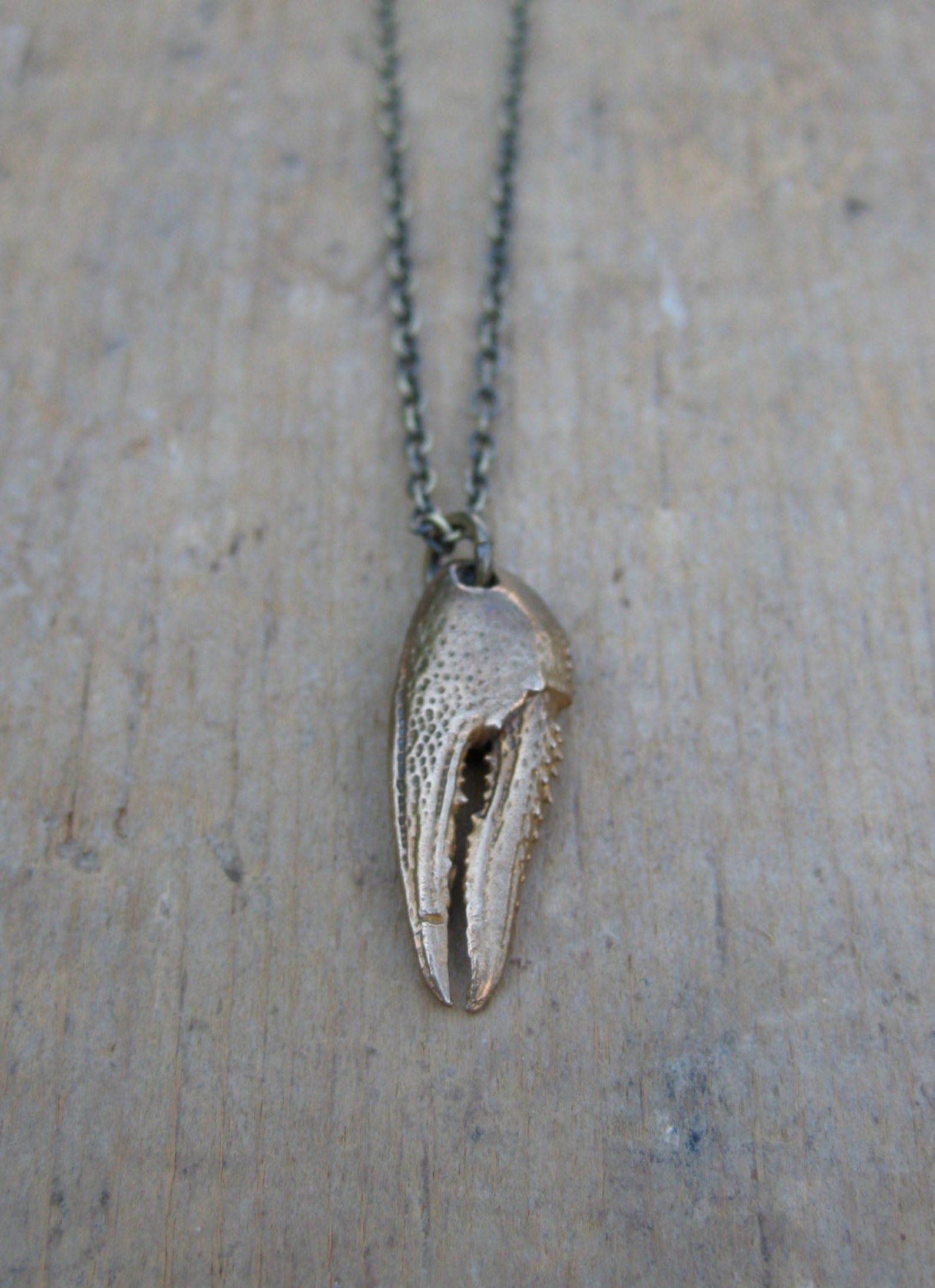 Crayfish crawfish CLAW bronze seafood lover necklace Etsy