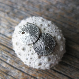 May include: Two silver sand dollar charms on a white sea urchin shell.