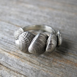 FAN SHELL seashell ring summer beach ring sterling silver Ready to Ship