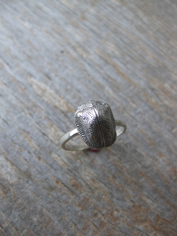 SCARAB Ring Real Insect Jewelry Bug Ring Oxidized Sterling Silver