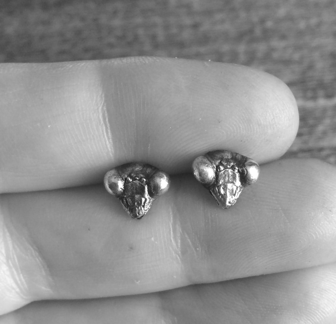 Praying MANTIS Studs Oxidized Insect Jewelry Sterling Silver Post