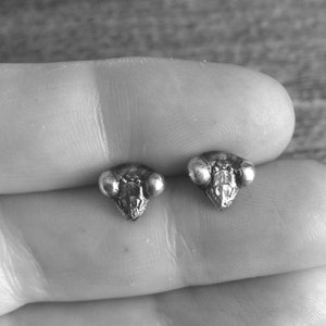 May include: A pair of small, silver-toned insect-head stud earrings. Each earring features a detailed design of an insect's head, including large, rounded eyes and intricate facial features. The earrings are shown against a blurred background.
