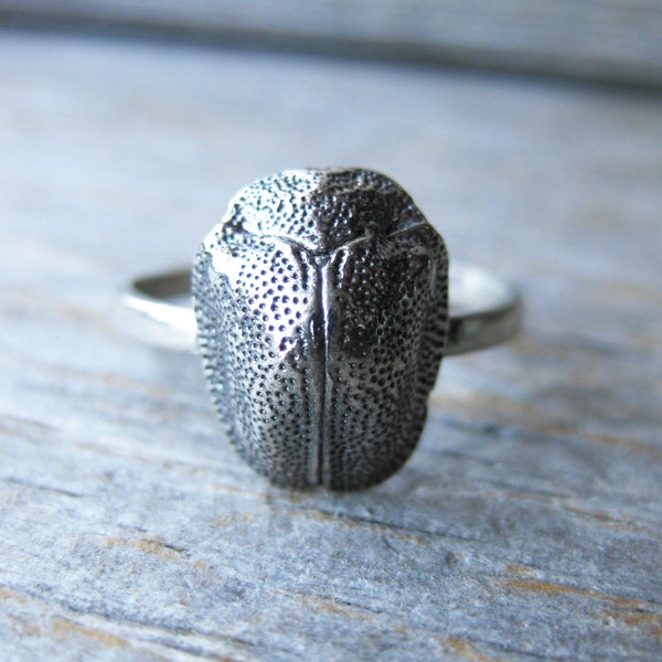 SCARAB ring real insect jewelry bug ring oxidized sterling silver ready to ship
