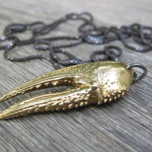 May include: A gold-colored necklace with a detailed claw pendant. The chain is black and made of metal.