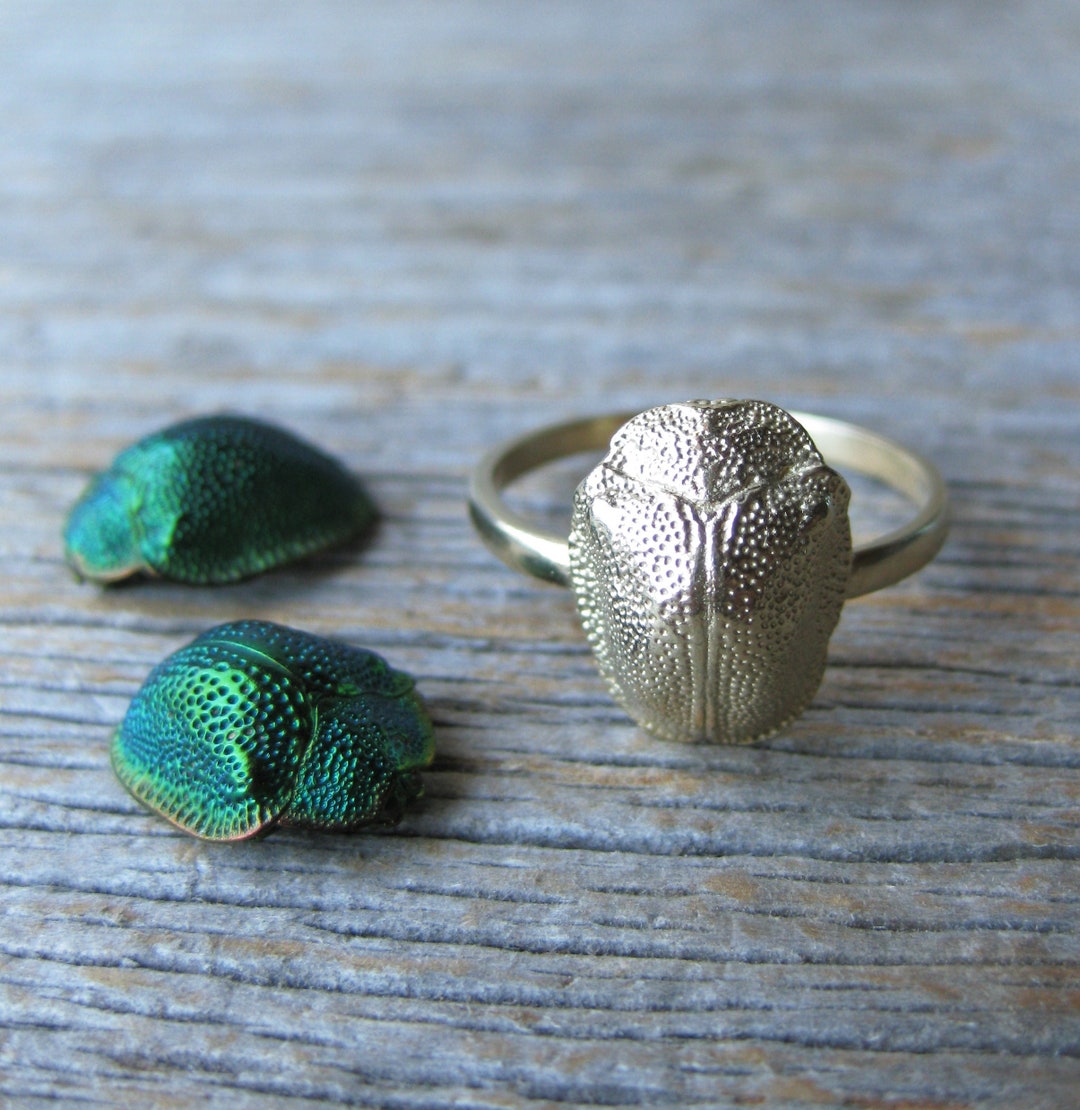 14kt Yellow Gold SCARAB Ring Real Insect Jewelry Bug Ring Made to Order ...