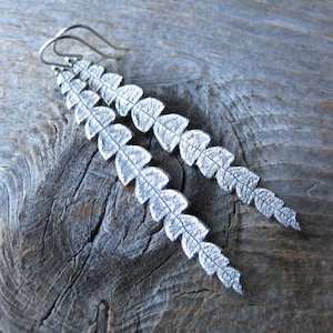 SWEET FERN earrings, comptonia peregrina leaf sterling silver botanical earrings