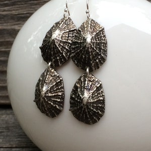 Saint Barthelemy double LIMPET sterling silver dangle earrings image 7