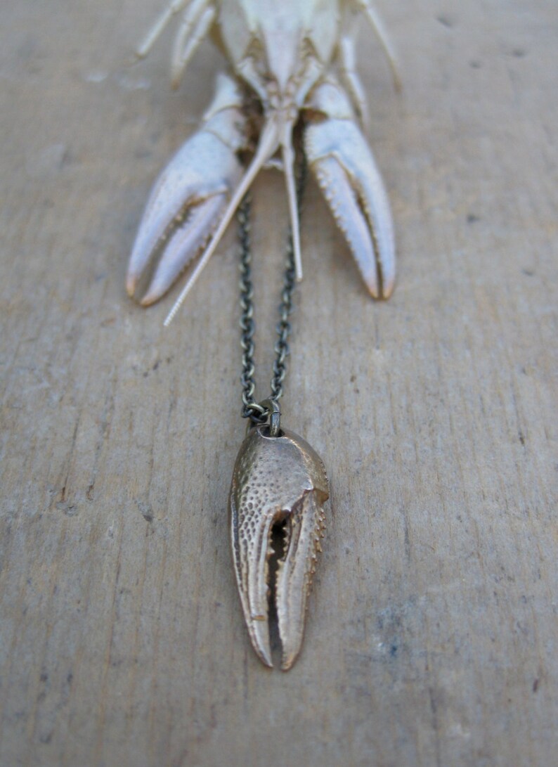 Crayfish Crawfish CLAW Bronze Seafood Lover Necklace Etsy
