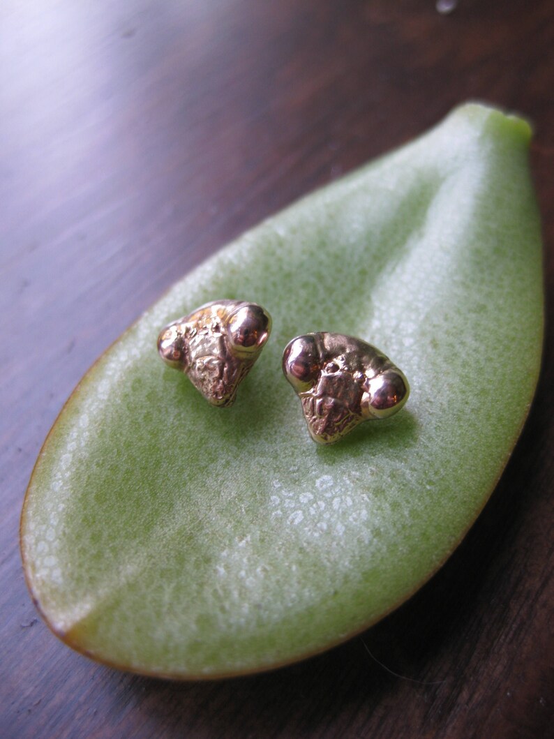 May include: A pair of gold-toned earrings with a textured, organic shape. The earrings are displayed on a green leaf.
