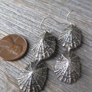 Saint Barthelemy double LIMPET sterling silver dangle earrings image 6