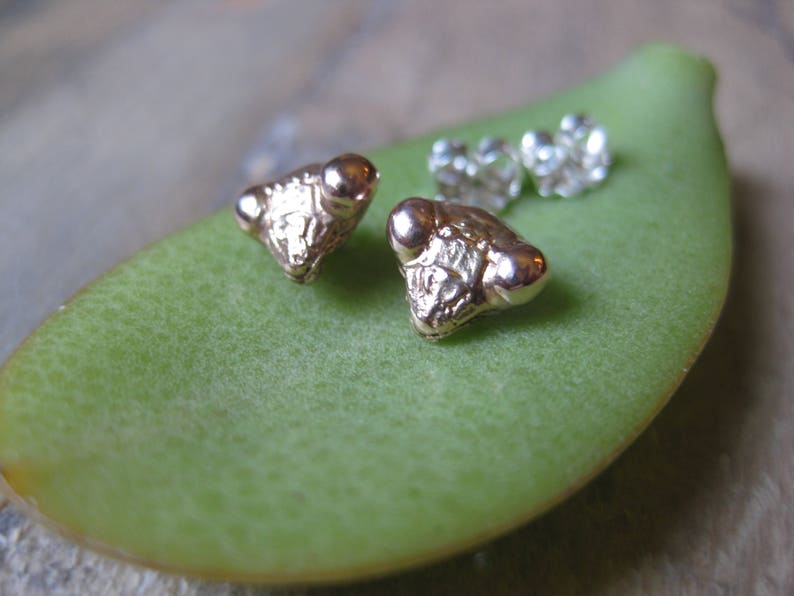 May include: A pair of gold-toned earrings shaped like a praying mantis. The earrings are on a green leaf.