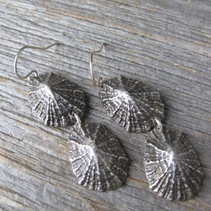 Saint Barthelemy double LIMPET sterling silver dangle earrings image 4