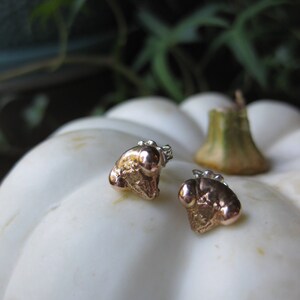 May include: A pair of gold-toned stud earrings with a textured, organic shape. The earrings are set against a white background.