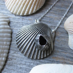 Barnacle Scallop Shell Pendant main image 1