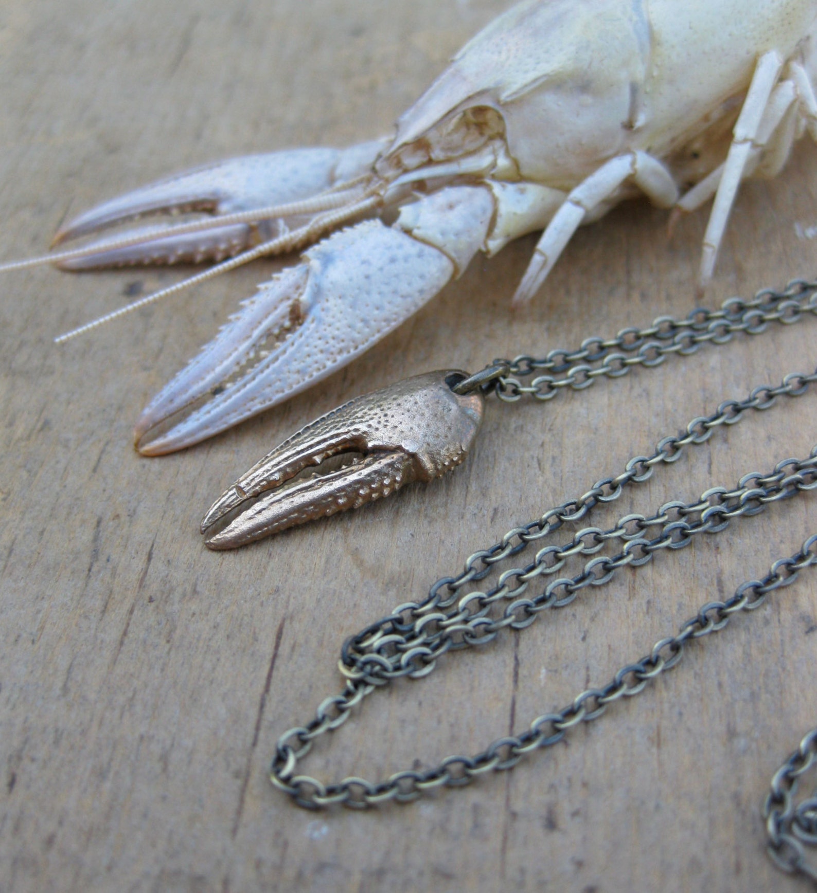 Crayfish crawfish CLAW bronze seafood lover necklace Etsy
