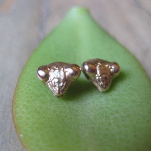 May include: Two gold-coloured earrings shaped like the head of a praying mantis.