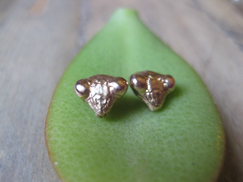 May include: Two gold-coloured earrings shaped like the head of a praying mantis.