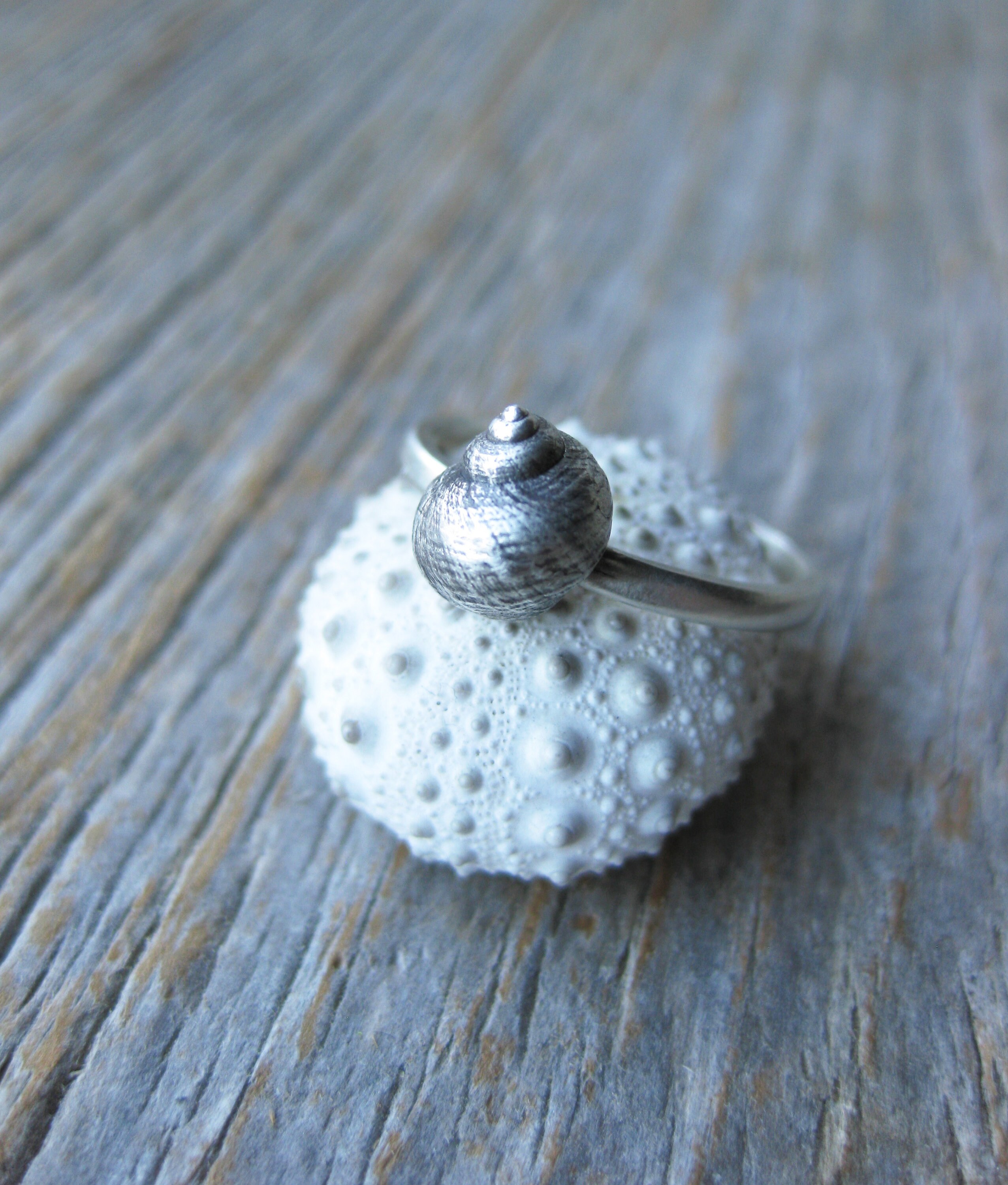 Studio Rings Sea Shell Seashell Stacking Rings Sterling Silver Make Your Own Stack Ready to ...