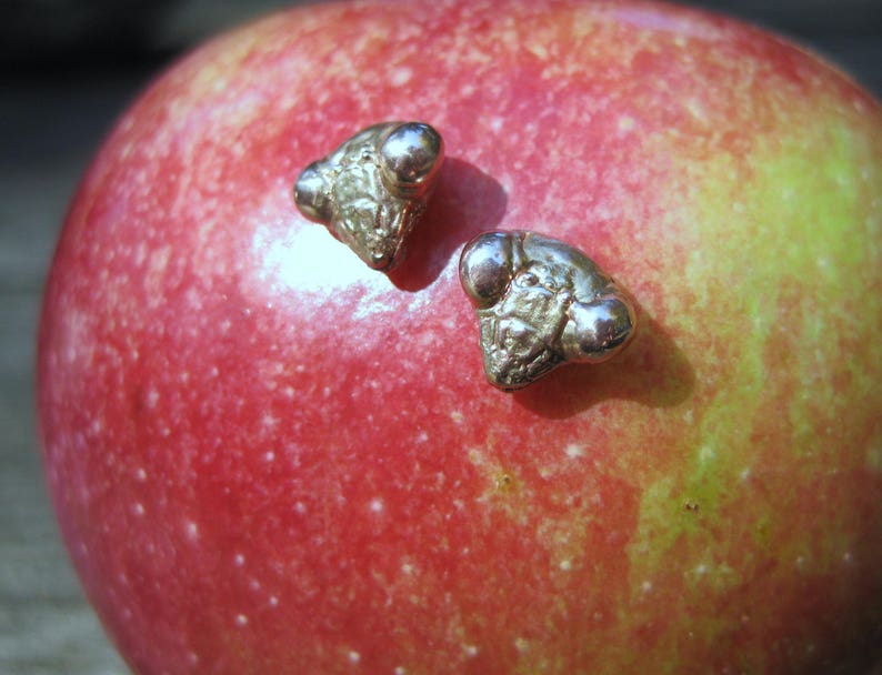 May include: Two silver-toned mouse-shaped earrings with small, round, white stones for eyes. The earrings are on a red apple.