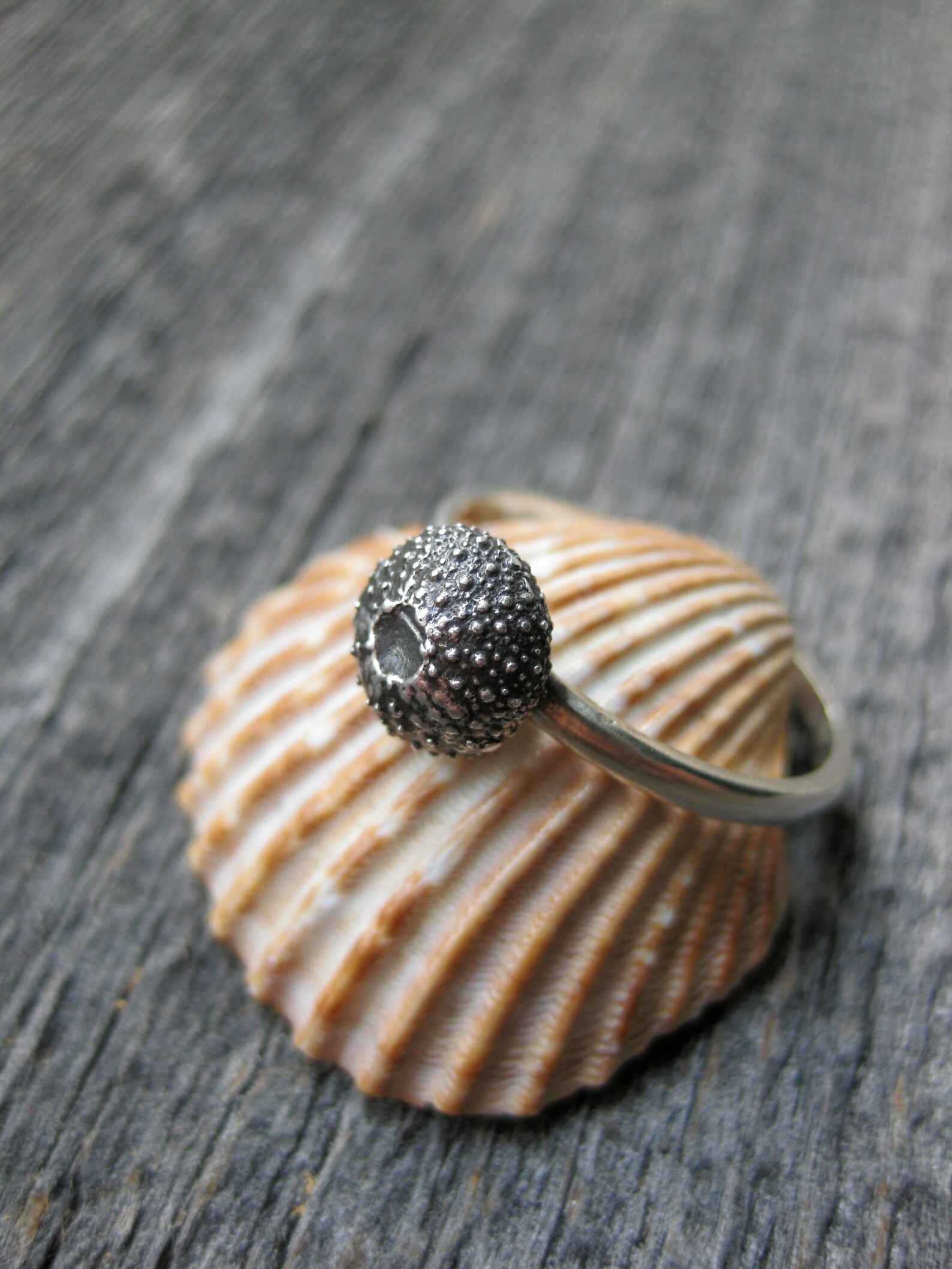 Seashell Stacking Rings Sterling Silver Make Your Own Stack Etsy