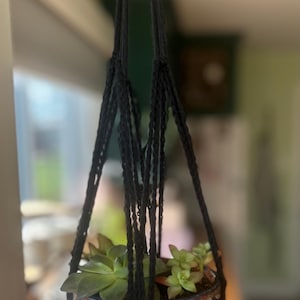 Puede incluir: Un macetero de macramé negro con una maceta de cerámica azul y blanca que contiene suculentas.
