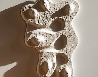 Può includere: Scultura da parete in ceramica bianca con una forma astratta e organica. La scultura ha una superficie testurizzata e più rientranze arrotondate.