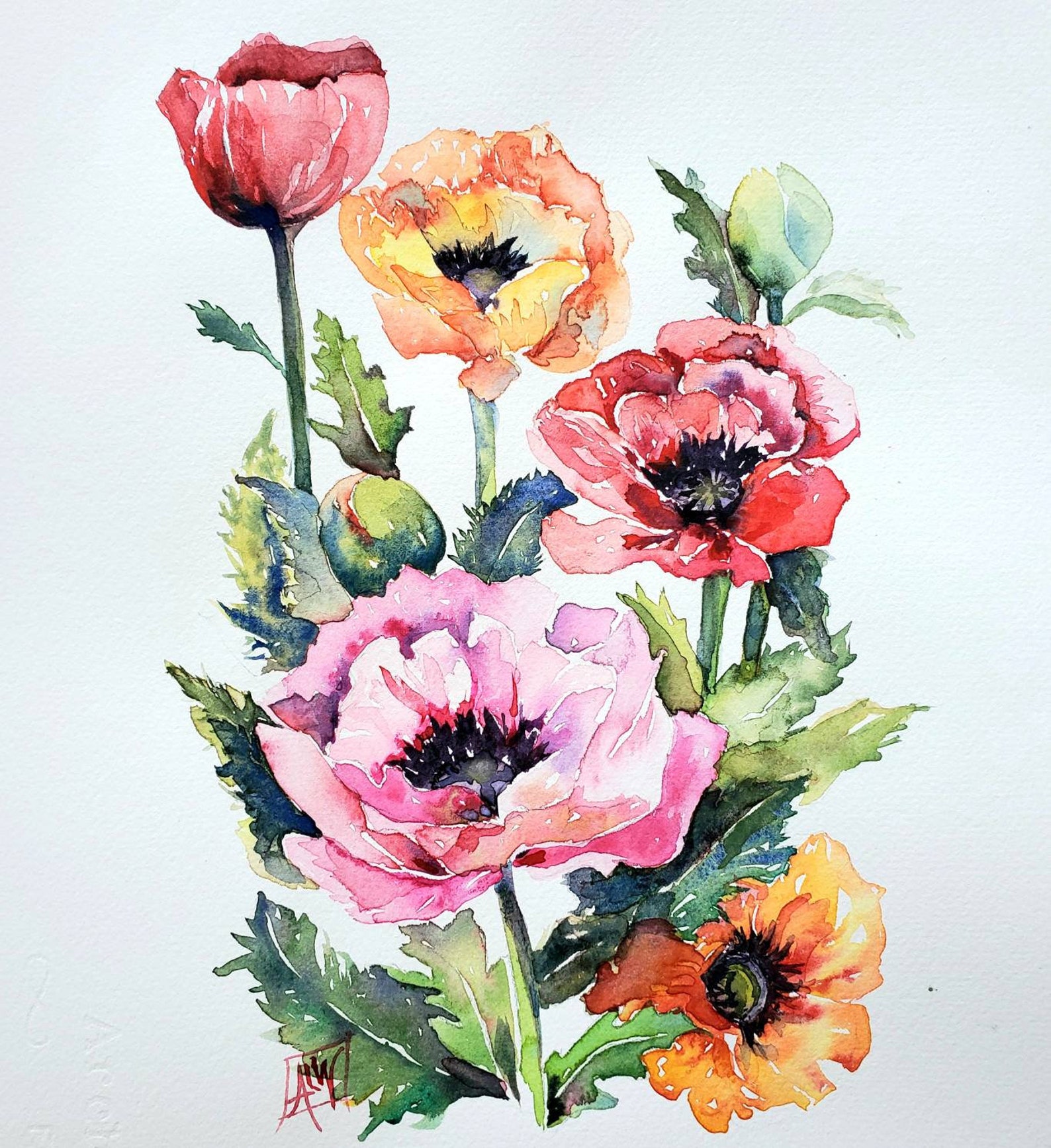 Oriental Poppies Original Watercolor Painting 9 x 12 inches | Etsy