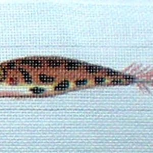 Needlepoint Belt Handpainted Canvas Antique Lures on 18ct.
