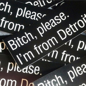 Bitch please. I'm from Detroit. sticker image 4