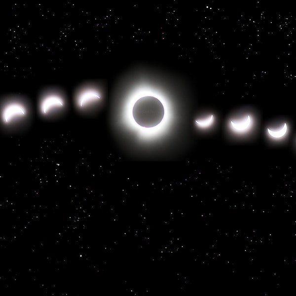 Total Solar Eclipse 2024 Collage