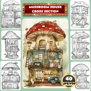 Könnte beinhalten: Eine Querschnitts-Illustration eines Pilzhauses mit mehreren Zimmern und Möbeln. Der Pilz ist rot mit weißen Flecken und hat einen braunen Stiel. Das Haus hat eine Küche, ein Badezimmer, ein Schlafzimmer und ein Wohnzimmer. Die Illustration ist im Aquarell-Stil gehalten und wirkt fantasievoll.