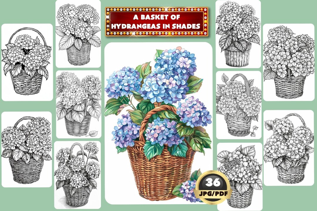 Hydrangeas in Basket Coloring Book: Relaxing Grayscale (printable PDF ...