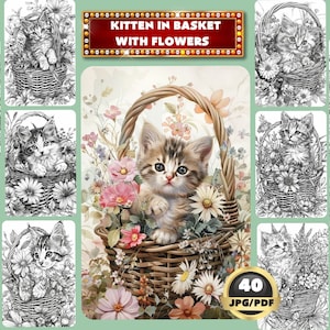 Kitten in mand met bloemen kleurboek, kat in mand kleuren, digitaal kleuren, direct downloaden, grijswaarden kleuren, afdrukbare pdf