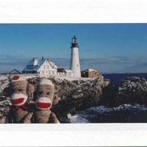 Portrait at the Lighthouse