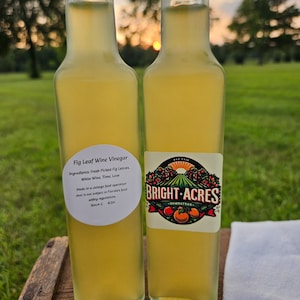 Fig Leaf Wine Vinegar - Homemade image 1
