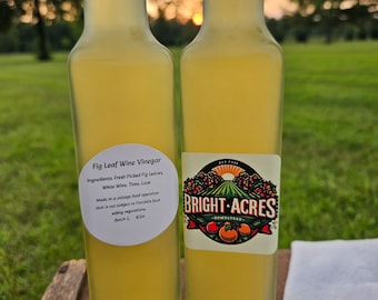 Fig Leaf Wine Vinegar - Homemade