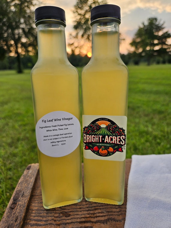 Fig Leaf Wine Vinegar - Homemade