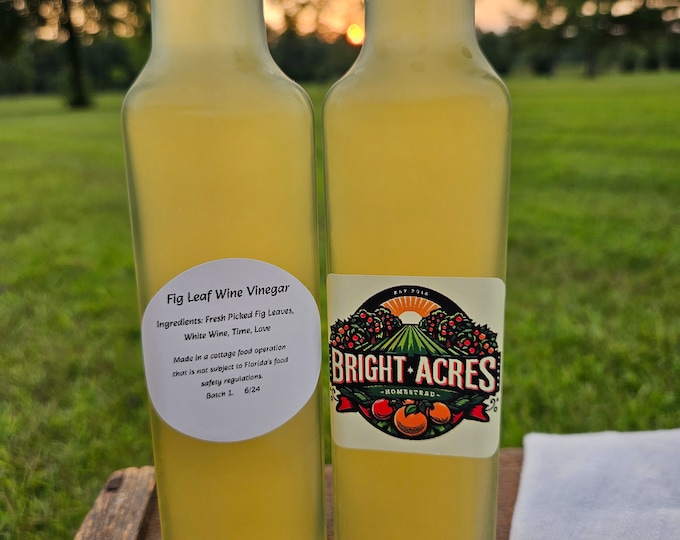 Fig Leaf Wine Vinegar - Homemade
