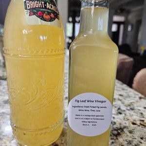 Fig Leaf Wine Vinegar - Homemade image 6