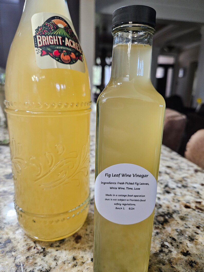 Fig Leaf Wine Vinegar - Homemade image 6