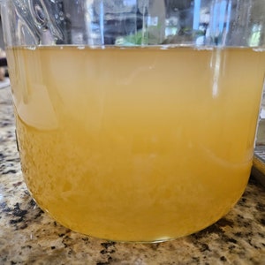 Fig Leaf Wine Vinegar - Homemade image 7