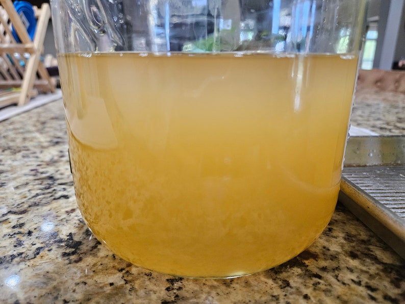 Fig Leaf Wine Vinegar - Homemade image 7