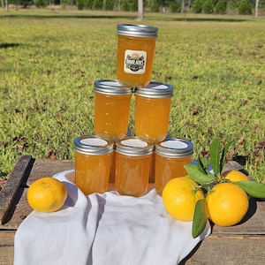 Satsuma Orange Varieties
