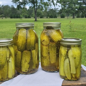 Local Pickup Only!! Homemade Pickles!! - Etsy